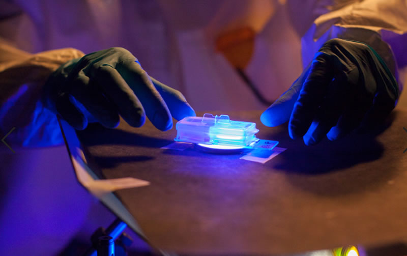 發(fā)表“通過使用熒光光能誘導(dǎo)熒光生物調(diào)節(jié)來管理傷口愈合的所有三個(gè)階段”