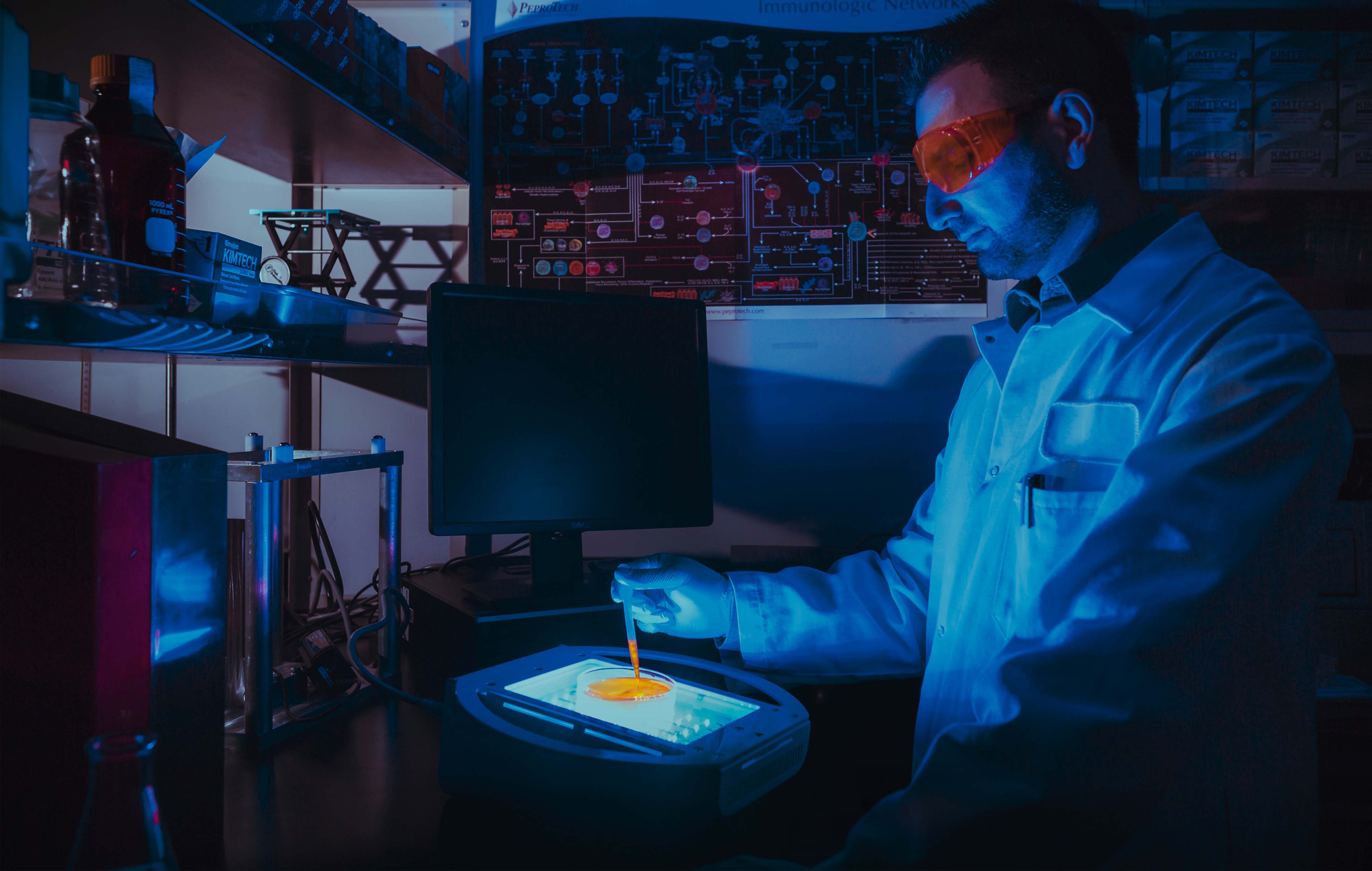 科洛克中歐博士計(jì)劃起航