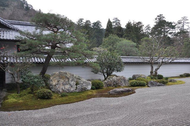 內蒙古苗木銷售 內蒙古苗木銷售