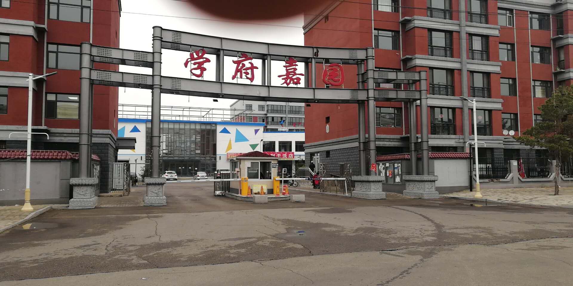 景園苗木與學(xué)府嘉園合作苗木