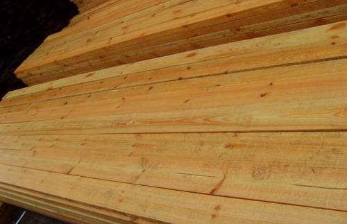 樟子松優點 樟子松優點