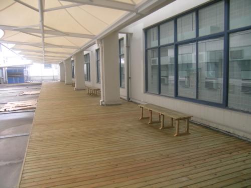 樟子松用途 樟子松用途